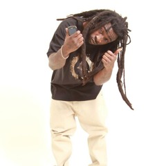 SKROODLE - PLUGGED IN / CERTIFIED HOOD ENT