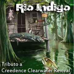 Fortunate son - Rio Indigo