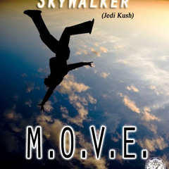 SkyWalker (instrumental)
