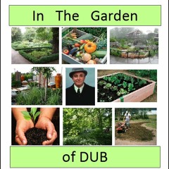 In the Garden of Dub (Parts 1 & 2)