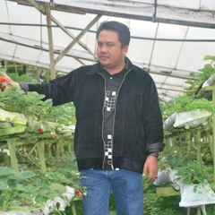 Zoel - Pada Syurga Diwajahmu