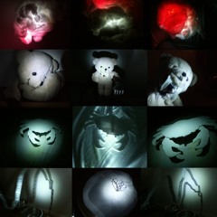 VirusVinterBergBjörn