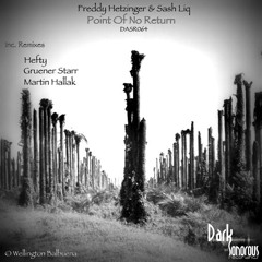 Freddy Hetzinger & Sash Liq - Point Of No Return (Gruener Starr's edit) sample [dark & sonorous rec]