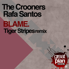 The Crooners - Blame (Tiger Stripes remix)