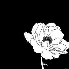 Drut - Flashout [Demo Experimental Mix]