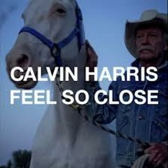 Calvin Harris - Feel So Close & I See Dead Pixels Tujamo ( Dj Self Remix )