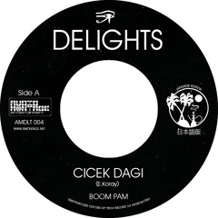 Boom Pam - Cicek Dagi (Forthcoming Delights 45)