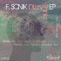 IM006 - F.Sonik - DIZZY THINKS EP incl.Redondo, Aney F, Sunju Hargun, Spencer K & Massimo Cassini
