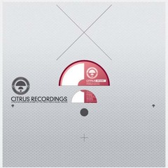 L 33 - TRACER [CITRUS] - OUT NOW