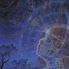 Biggie - Water Damaged