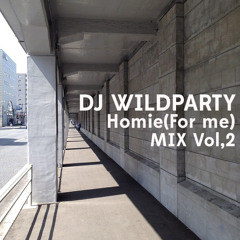 DJ WILDPARTY - Homie(For me)mix vol2