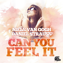 Niels van Gogh vs Daniel Strauss - Can You Feel It (Original Mix) PREVIEW