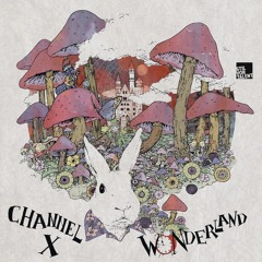 Channel X - Slowly Fallig feat. Natalie (Morris Remix)