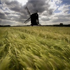 Summer Wind