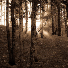 Bon Iver - Minnesota, WI (Remix)