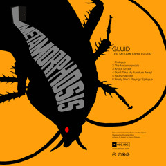 The metamorphosis  (the metamorphosis freedownload EP- Out now!! on Escrec 8-1-2013)