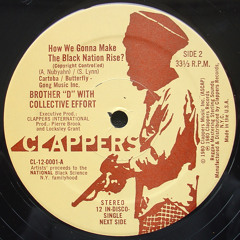 Brother D with Collective Effort ‎– How We Gonna Make The Black Nation Rise?