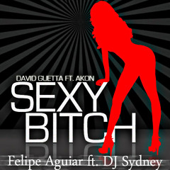 David Guetta Feat. Akon - Sexy Bitch ( Vs 2012 - Felipe Aguiar e DJ Sydney )