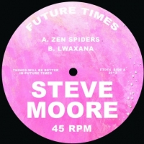 Steve Moore - Zen Spiders FT014