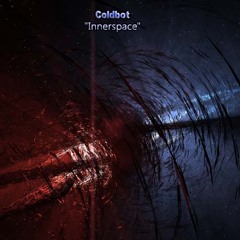 Coldbot - Innerspace