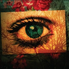 09. Malka Spigel - Chasing Shadows