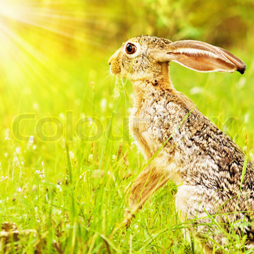 Dolly Parton - Jolene (Carlo Ruetz Simple Mode On Mix)