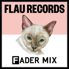 Flau Records FADER Mix
