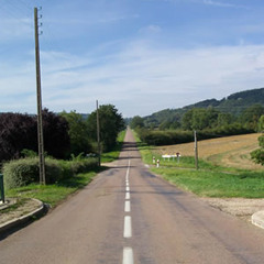 Watered Down Memories