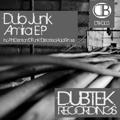 Dub Junk-Amira EP-Cuts