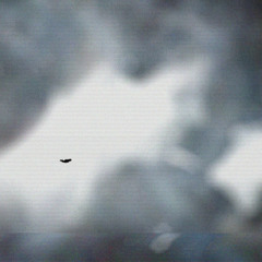 You Can Yell (by Astronauts, etc.)