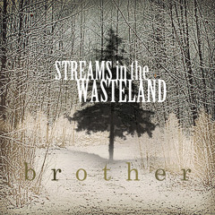 Streams in the Wasteland -Acoustic