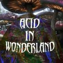 Acid in Wonderland - Mixed by AudioSyndrom (Dark Psy-Prog)