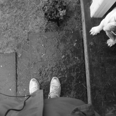 Broken Albatross - Retarded Disco Olympics (demo)