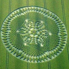 birch book; backwards climbing (live) (b'ee-vox)