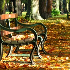 Por si decides volver... MAKETA