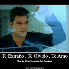 Ricky Martin