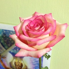 Thanks parents goodness mantra / good for their health