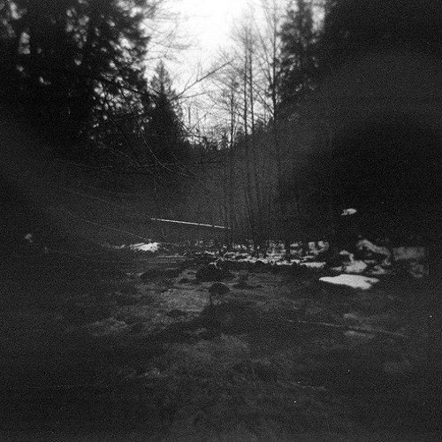 Dark Ambient Forest - Hatred Echoing Through the Trees [DL in Description]