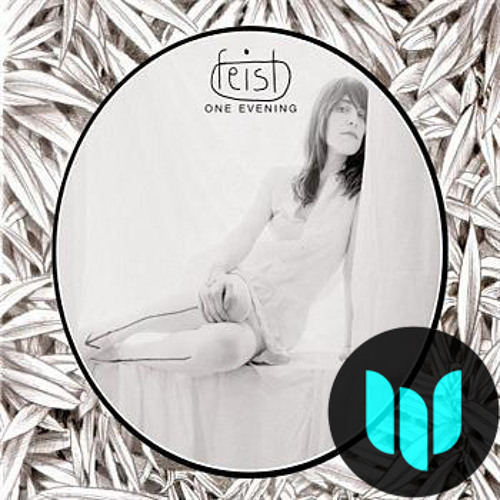 Feist - One Evening (Johan Winter Edit)