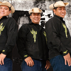 LA FERIA DE LAS FLORES