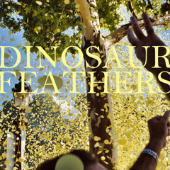 Dinosaur Feathers - Young Bucks