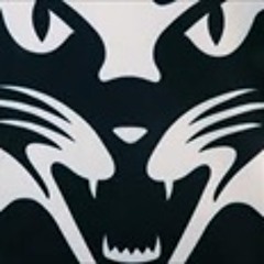 The Wynyard Football Club Theme Song