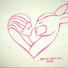 Bran Van 3000 - Shine