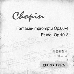 F.Chopin - Fantasie Impromptu Op.66-4 쇼팽 즉흥환상곡