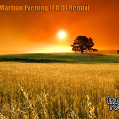 Suleman - Martian Evening (J.A.DJ Remix) snip