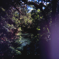 Summer's Ending (but it's not too late)