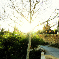 Bon Iver - Hinnom, TX (chatterswild remix)