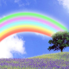 彩虹 - 氤氲小组