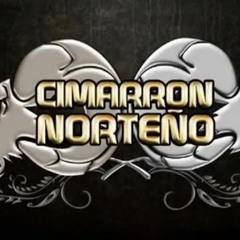 Cimarron Norteño - De un Solo Golpe