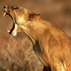 I-scream (instrumental)